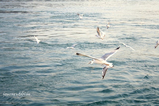 From-Bosphorus