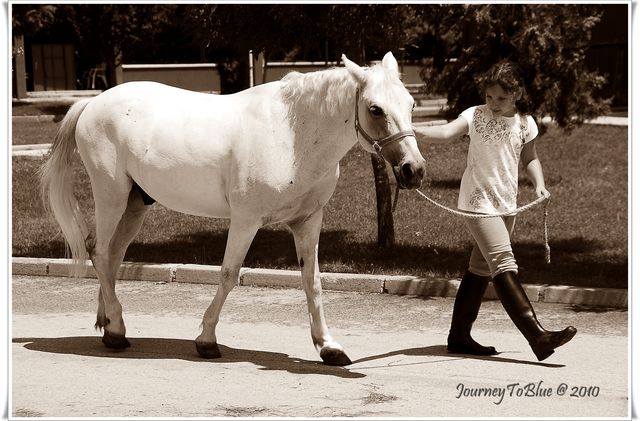 Horse and the Girl