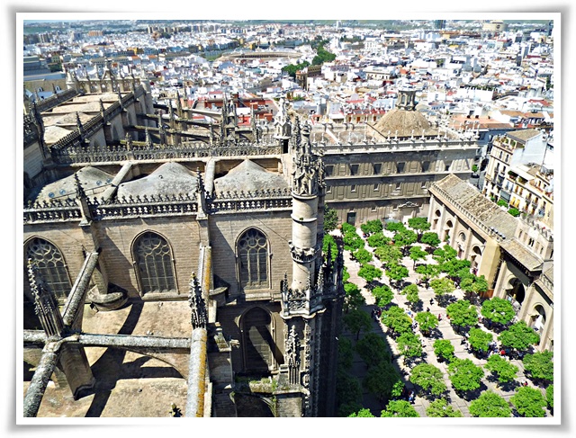 seville-over-the-top-of-giralda