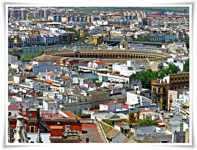 seville-over-the-top-of-giralda