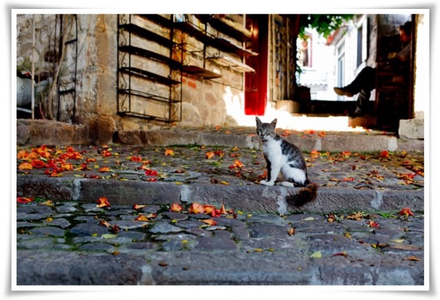 molyvos-streets