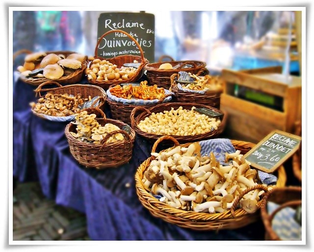 noordermarkt-mushroom-stall